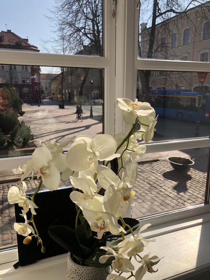 Tiltu 5 Jacuzzi Apartment Klaipėda Eksteriør billede